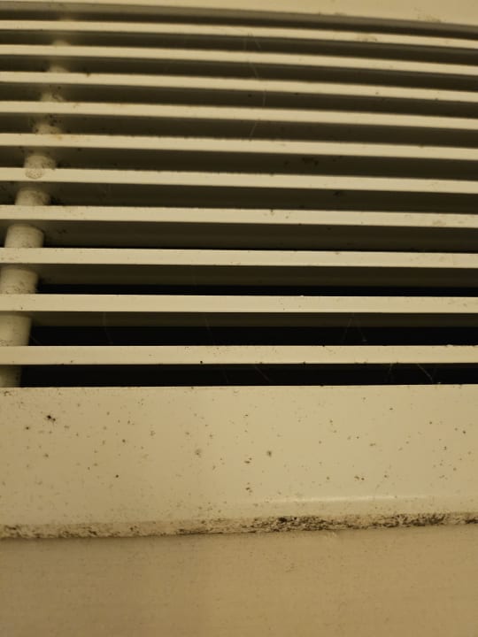 Zimmer Asteria Family Belek