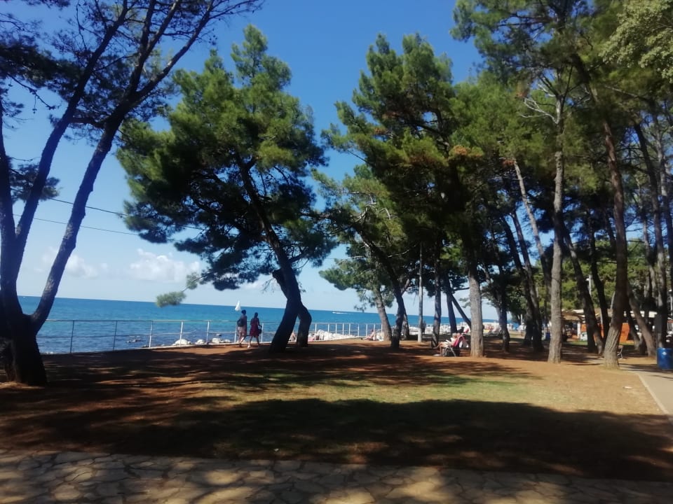 Strand Valamar Parentino Hotel