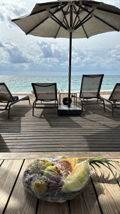 Strand Paloma Finesse