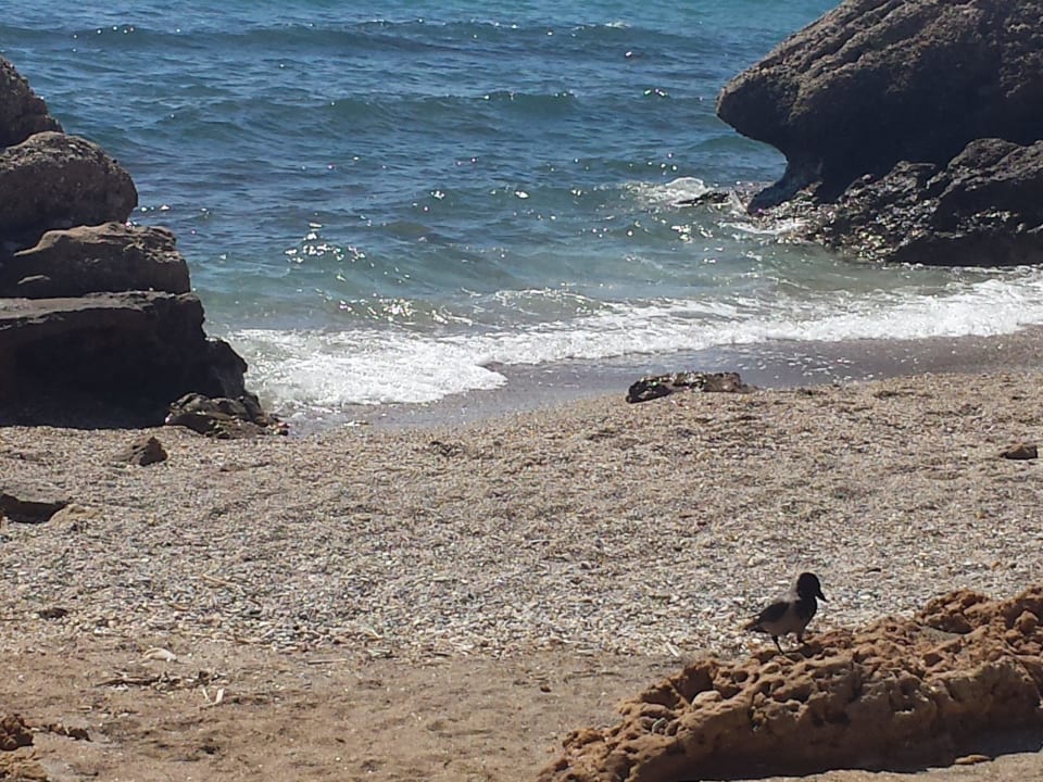 Sehr schöne kleine Bucht Vikingen Infinity Resort & Spa