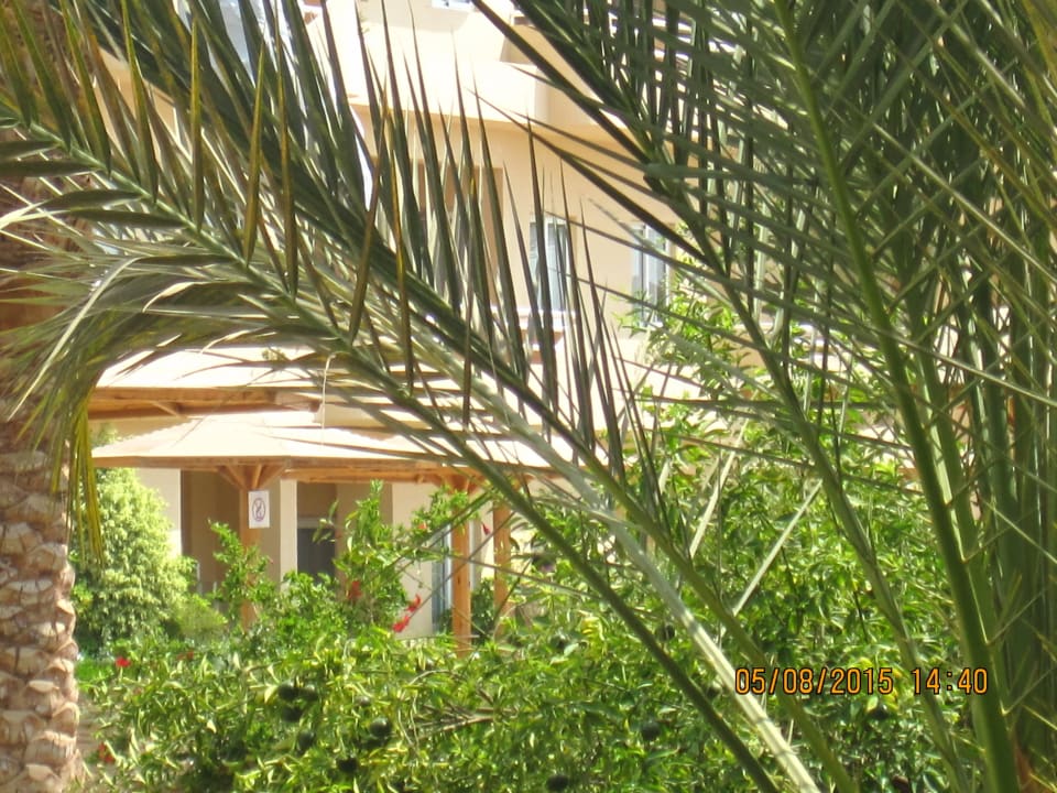 Garden. Golden Beach Resort