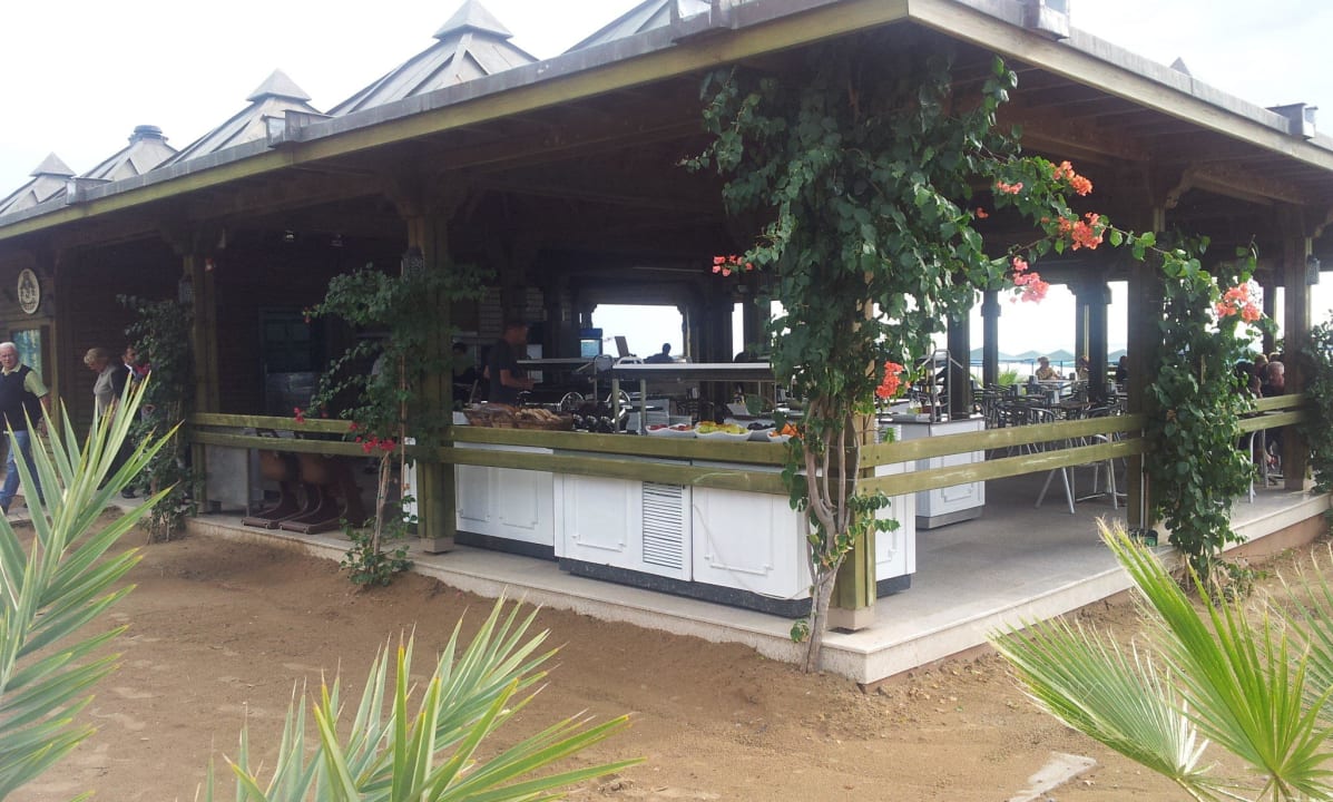 Strand Bar Paloma Oceana