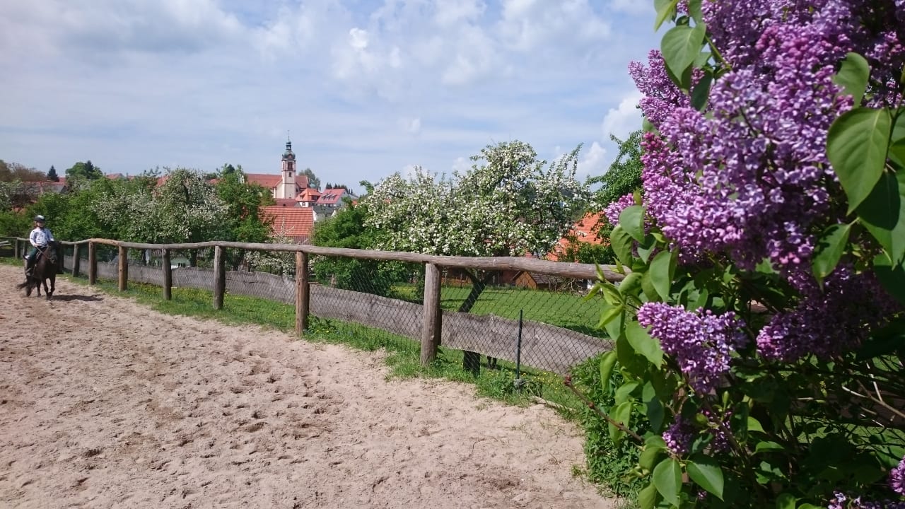 Gartenanlage Kastanienhof Krämer