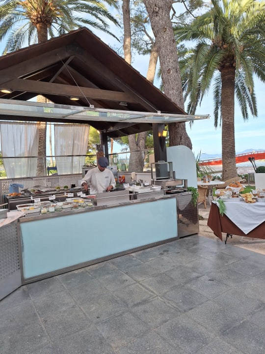 Gastro allsun App.-Hotel Orquidea Playa