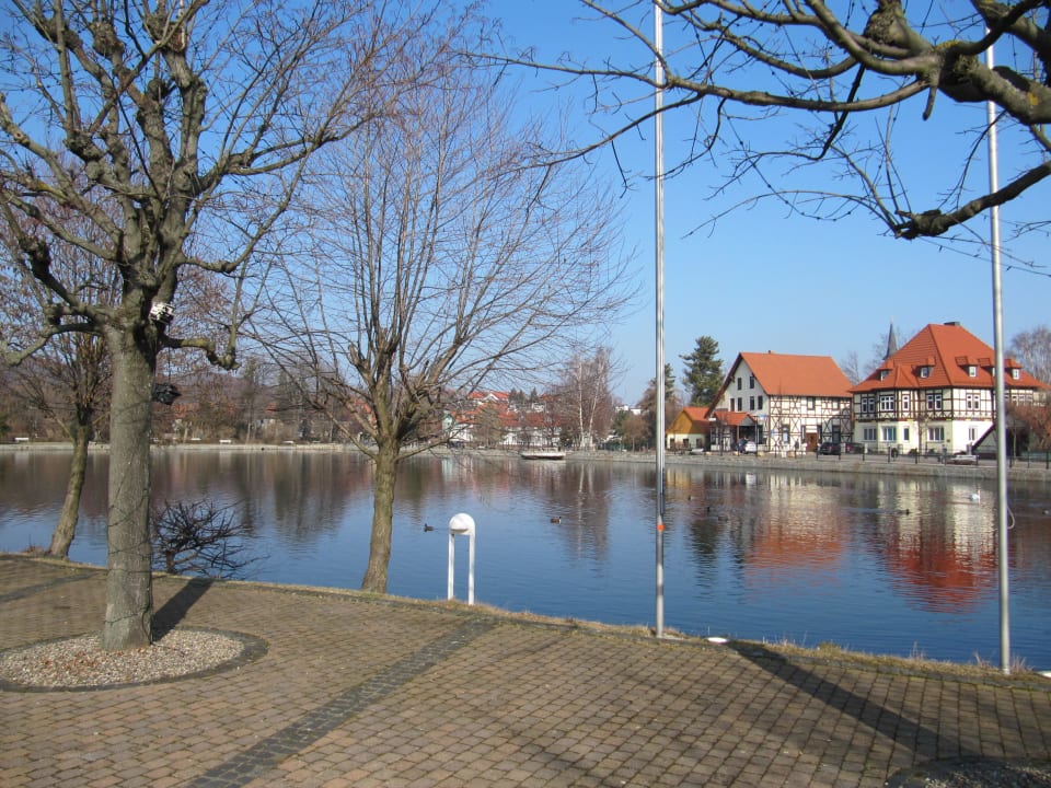 Teich vor dem Hotel Landhaus Zu den Rothen Forellen