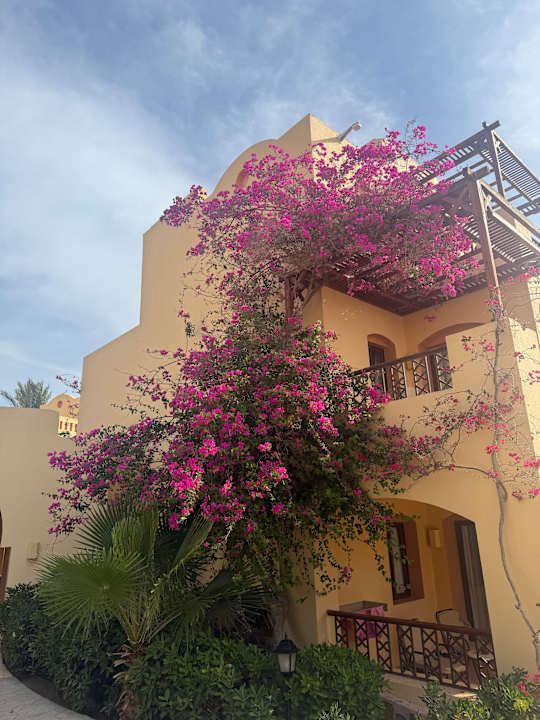 Außenansicht Steigenberger Coraya Beach - Adults only