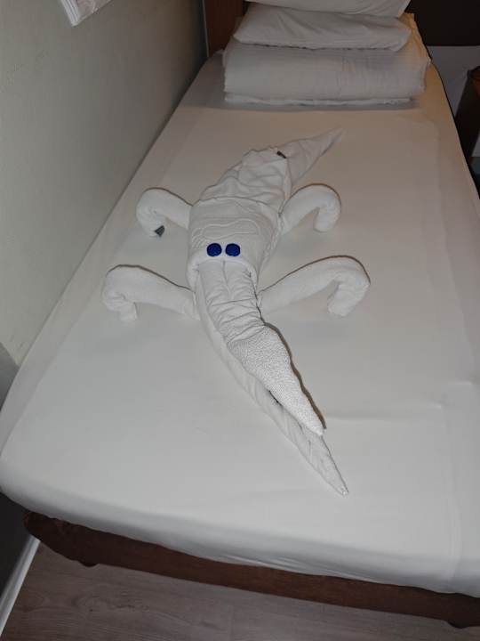 Zimmer Hane Family Resort