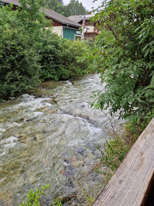 Gartenanlage Aparthaus-Kiebitz