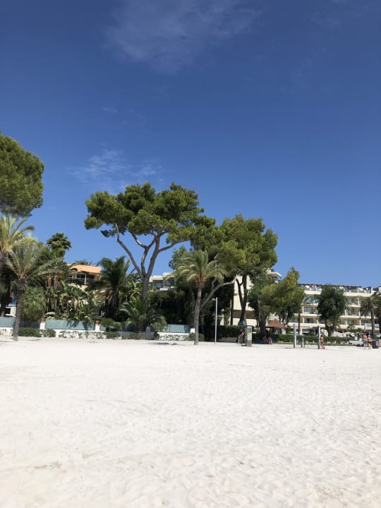 Strand Alcudia Garden Aparthotel