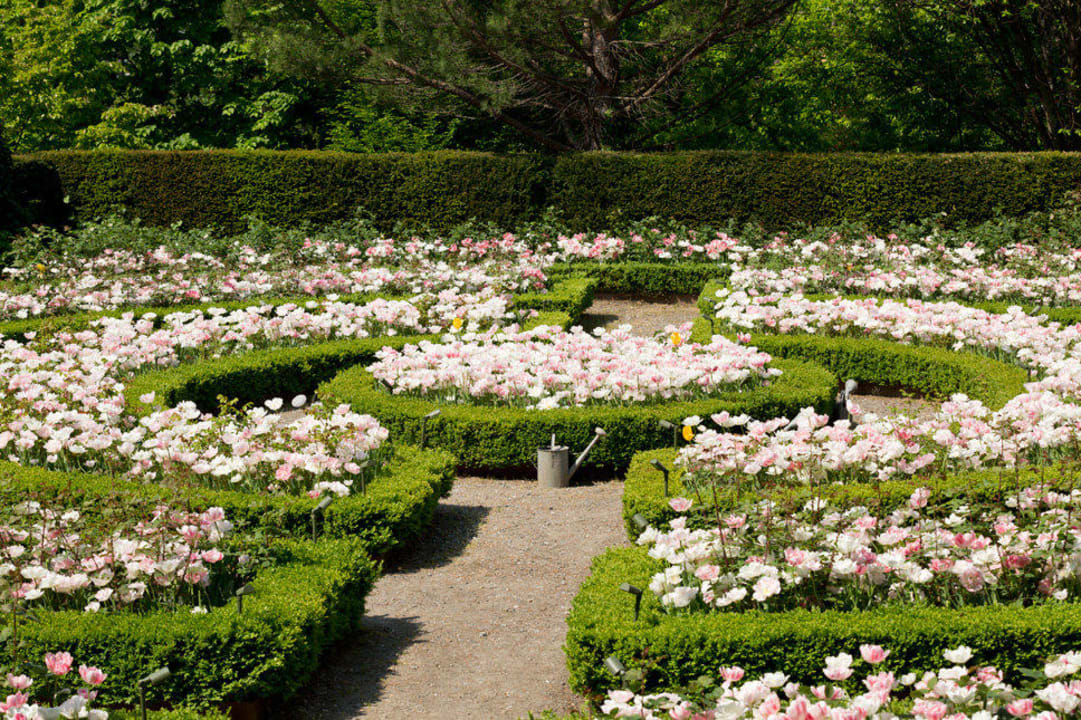 Über 20.000 Tulpen und Narzissen blühen hier Hotel Villa Irma
