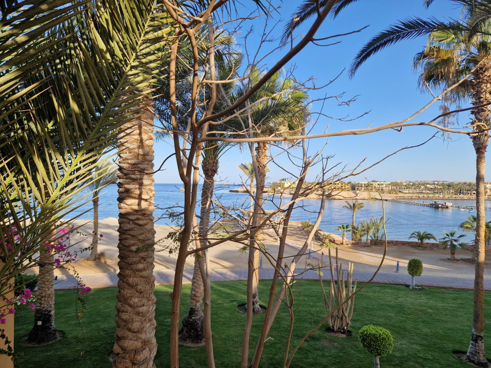 Ausblick Steigenberger Coraya Beach - Adults only