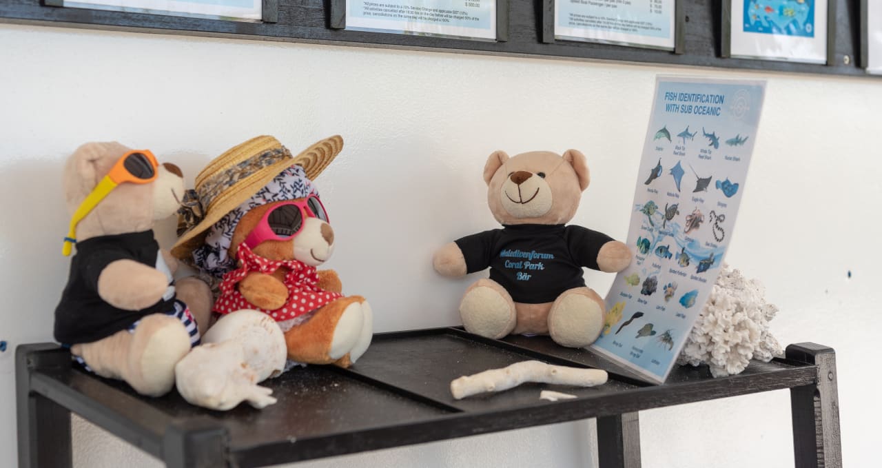 Sport & Freizeit Noku Maldives, Vignette Collection