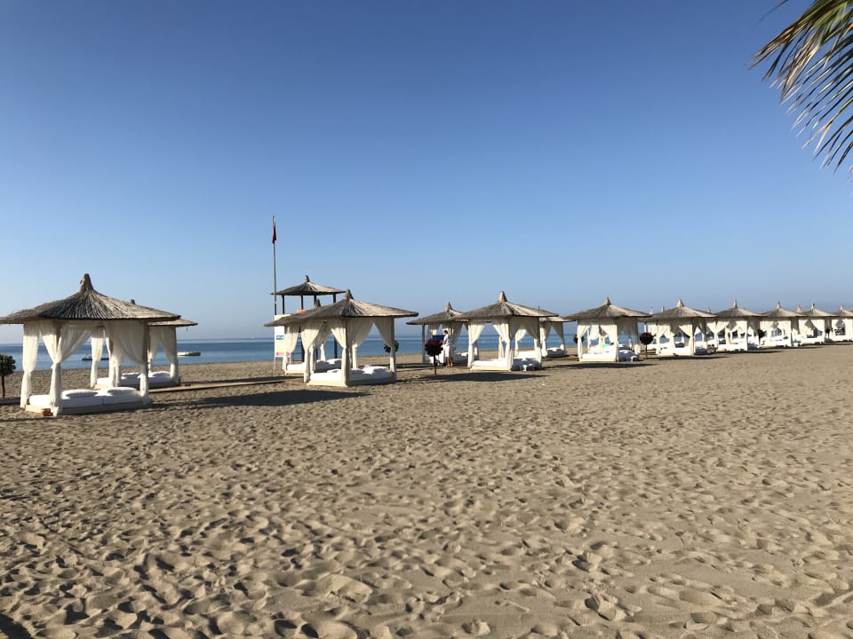 Strand ROBINSON NOBILIS