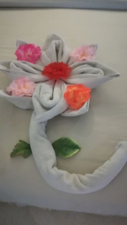 Zimmer Makadi Spa - Adults only