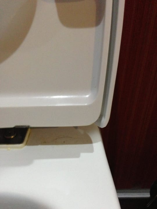 Toilette beim Bezug des Zimmer!widerlich! Vikingen Infinity Resort & Spa