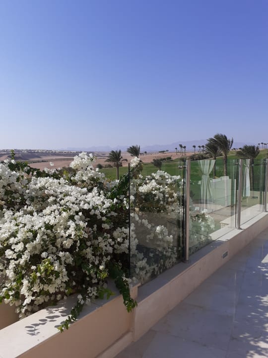 Ausblick Steigenberger Makadi Hotel - Adults only