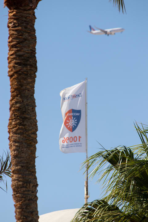 Sonstiges Desert Rose