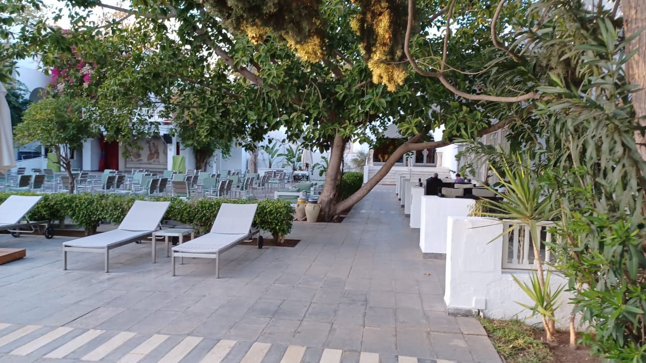 Gartenanlage The Orangers Beach Resort and Bungalows