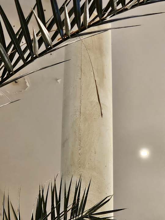 Lobby SBH Costa Calma Beach Resort