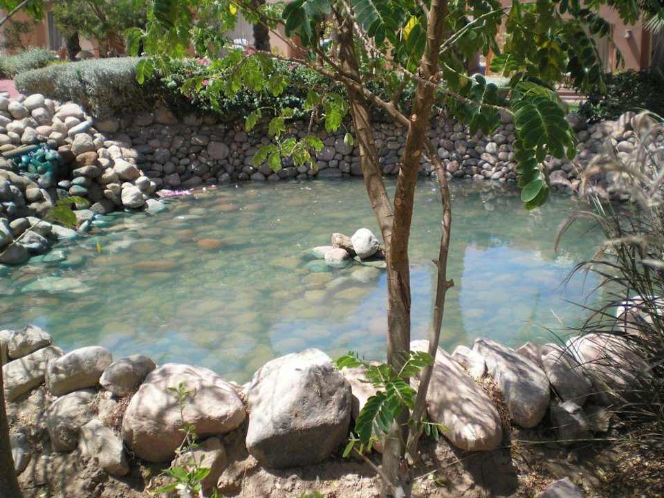 ein kleiner Teich Hotel Nubian Island