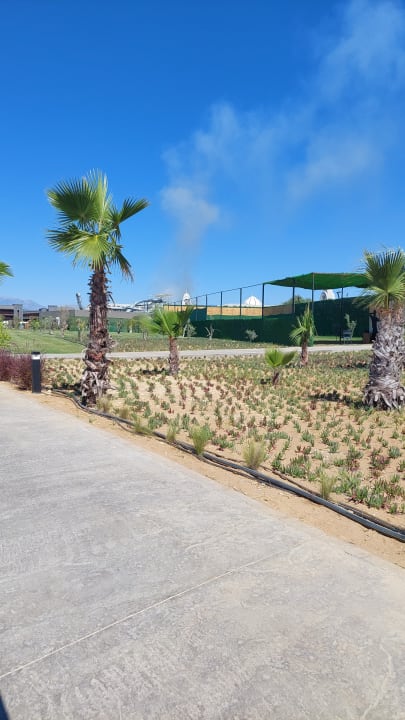 Gartenanlage Jacaranda Luxury Resort