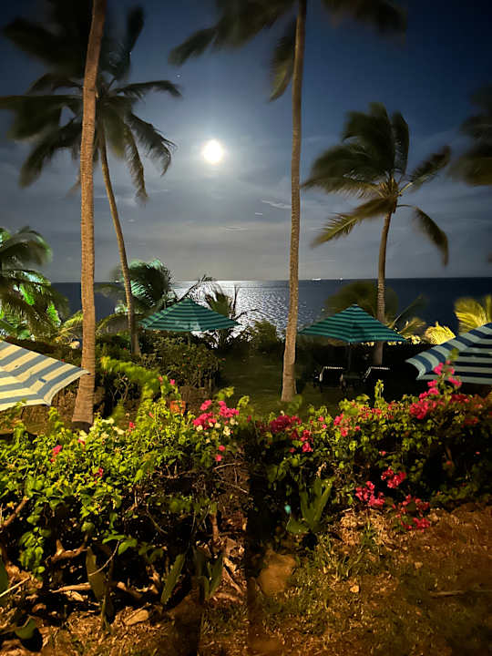 Ausblick Bahari Beach Hotel