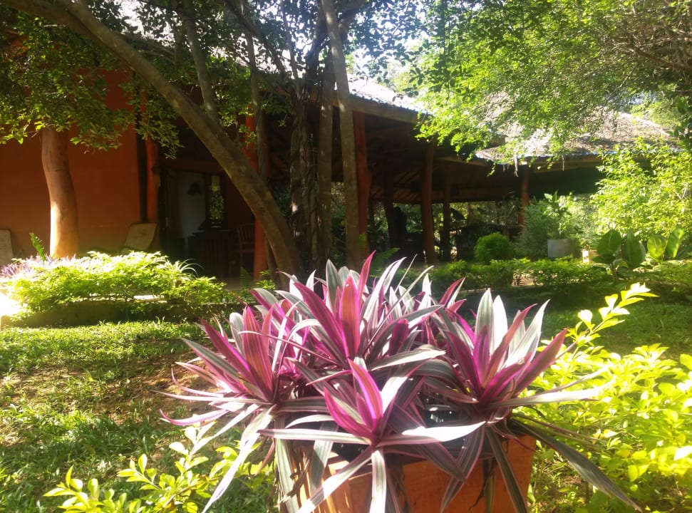 Lobby Kuwera Eco Lodge