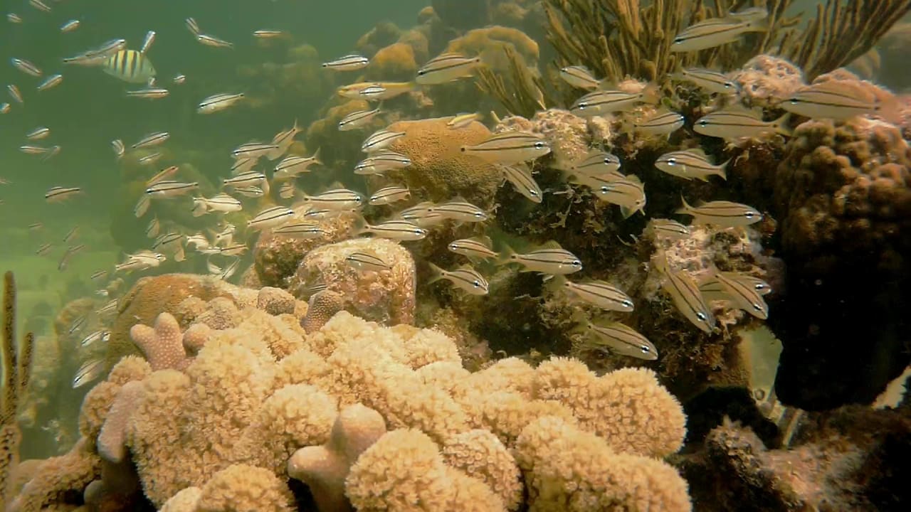 Sport & Freizeit Akumal Bay Beach & Wellness Resort