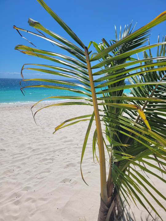 Strand Hotel Riu Jambo