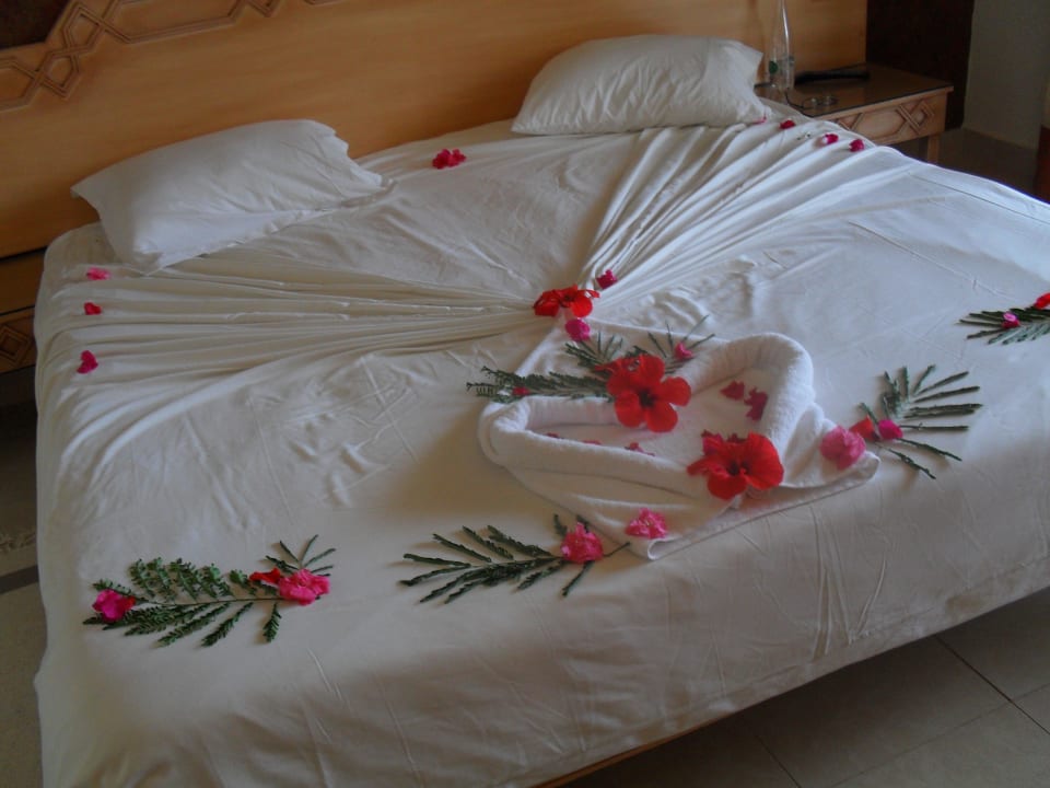 Sehr schön Mahdia Beach & Aquapark