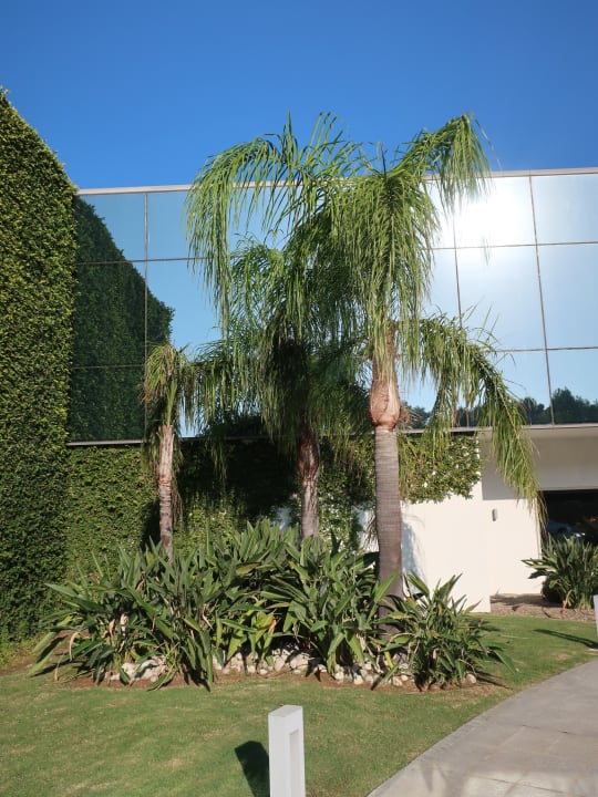 Außenansicht Hipotels Gran Conil Hotel