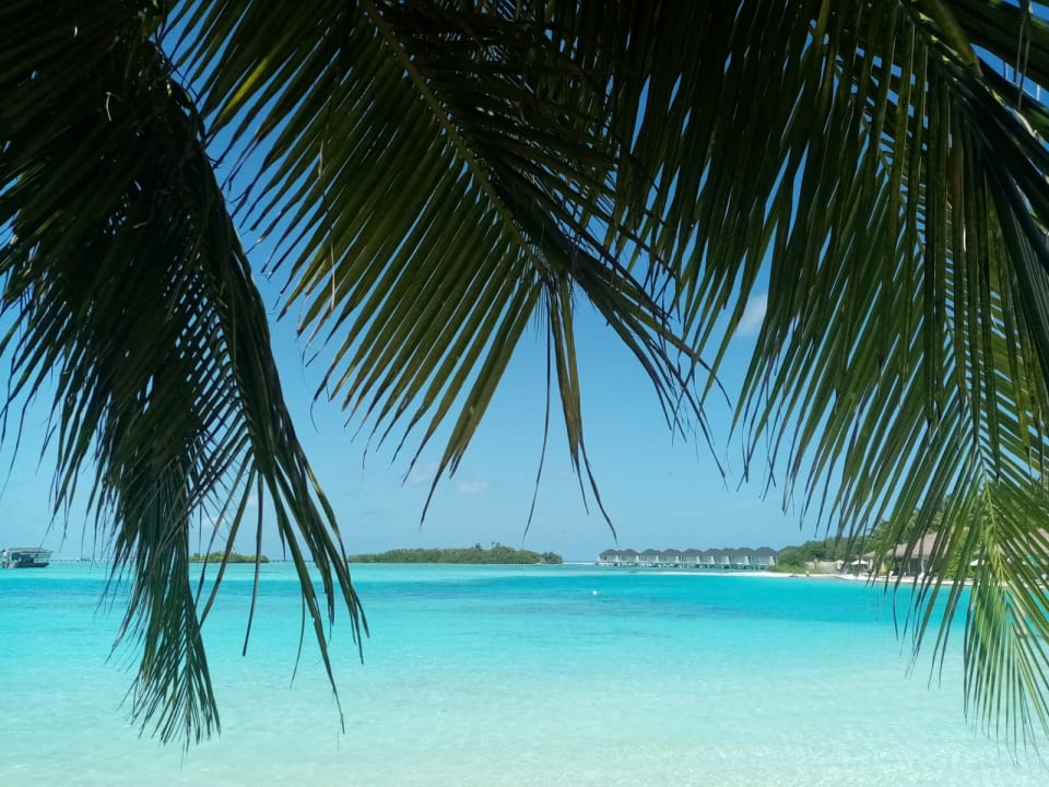 Strand Cinnamon Dhonveli Maldives