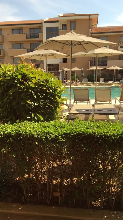 Pool HVD Clubhotel Miramar