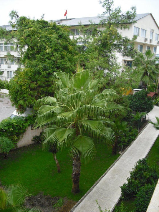 Ausblick von Balkon Aleria Belport Beach Hotel