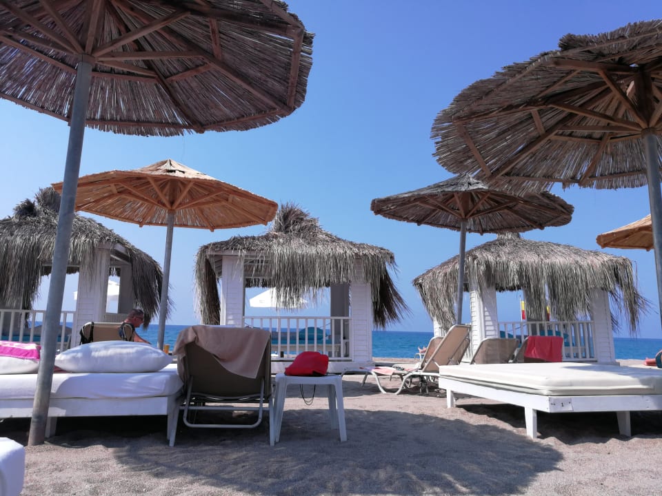 Strand Asteria Bloom Side