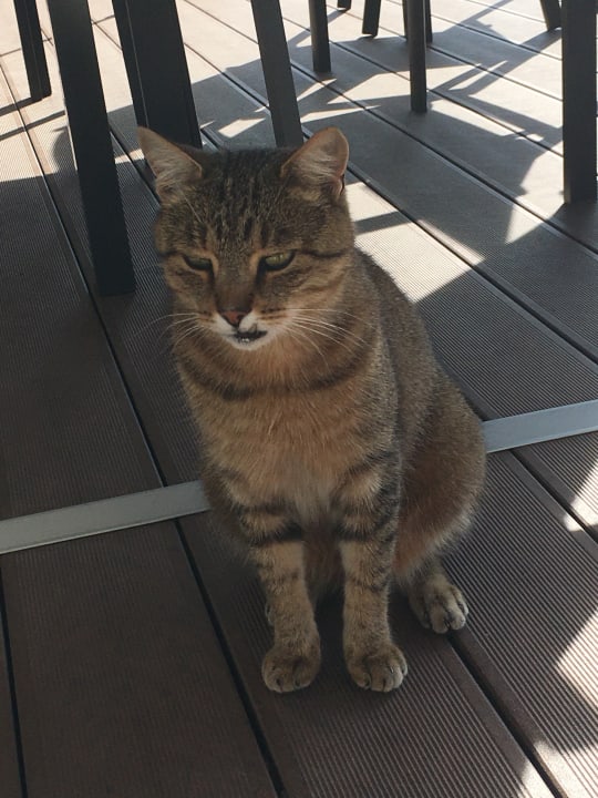 Sonstiges Ferienhof Hubertushof Eifel