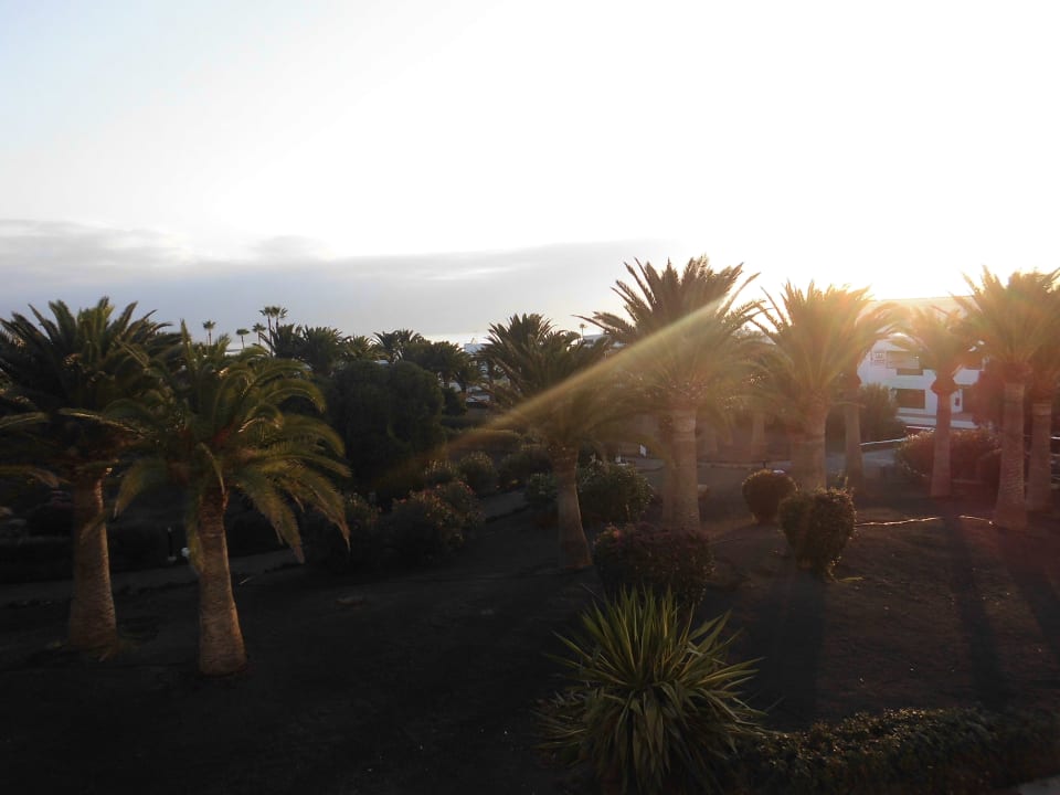 Tramonto sui giardini Relaxia Olivina