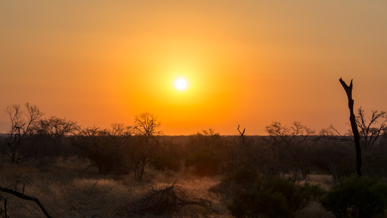 Ausblick Hotel Arathusa Safari Lodge