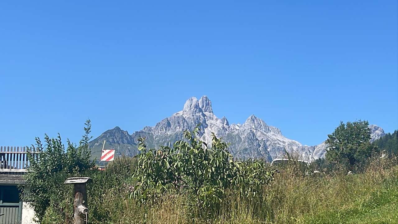 Ausblick Pilzhof Appartement