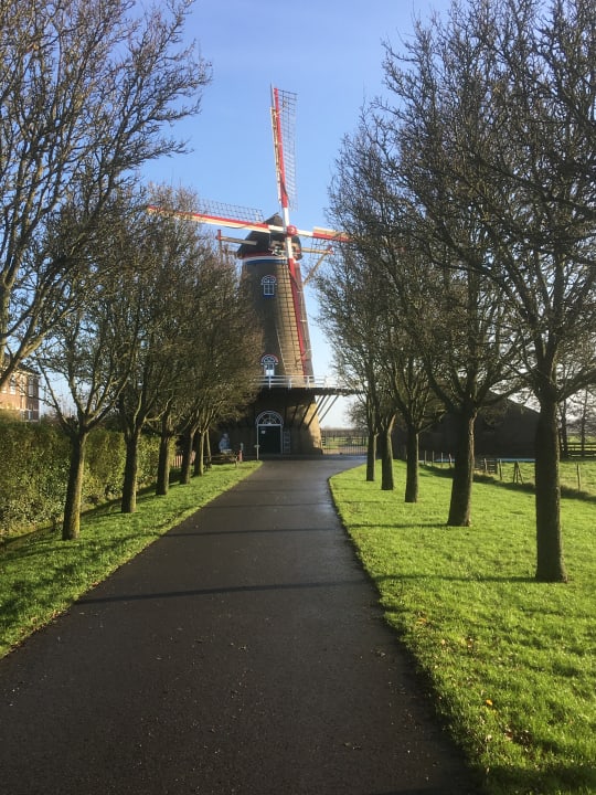 Ausblick Roompot Noordzee Residence De Banjaard