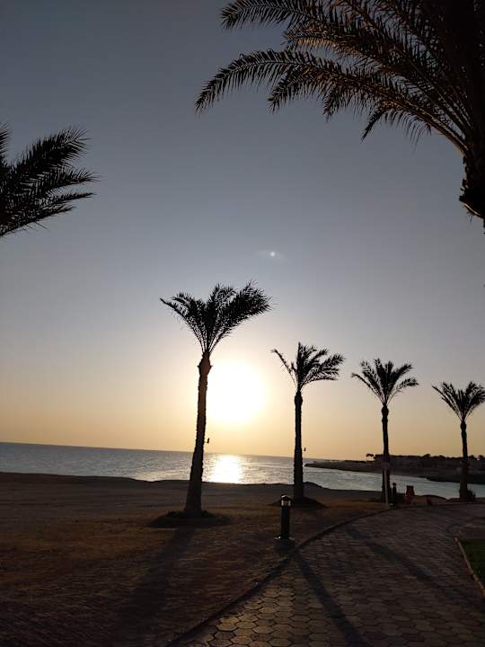 Strand Steigenberger Coraya Beach - Adults only