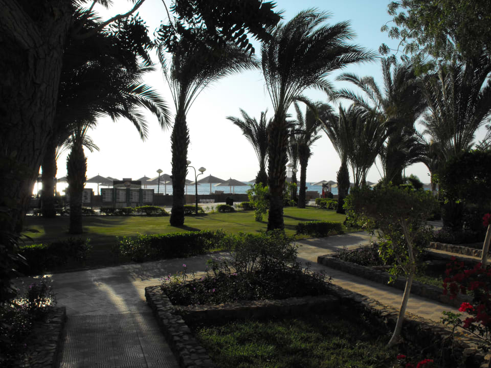 Ausblick Menaville Safaga
