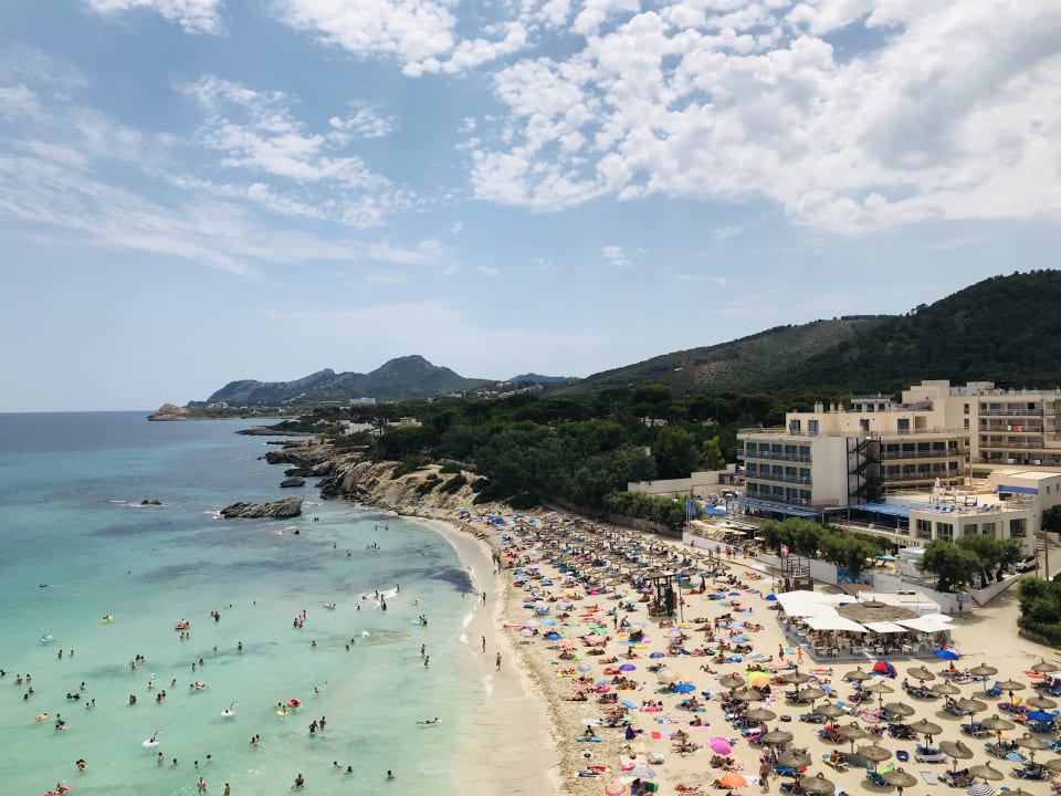 Zimmer Son Moll Sentits Hotel & Spa