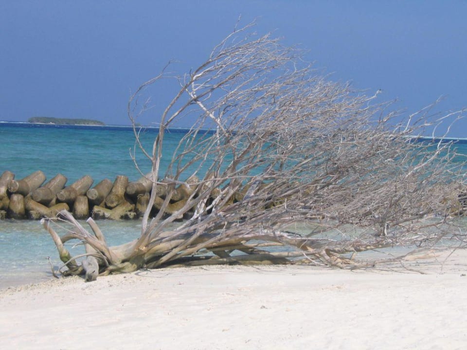 Strand Kuredu Island Resort & Spa