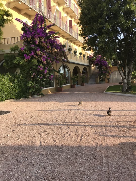 Gartenanlage Grand Hotel Fasano