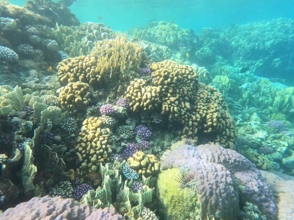 Sonstiges Three Corners Equinox Beach Resort