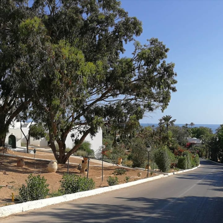 Gartenanlage Hotel Sangho Club Zarzis