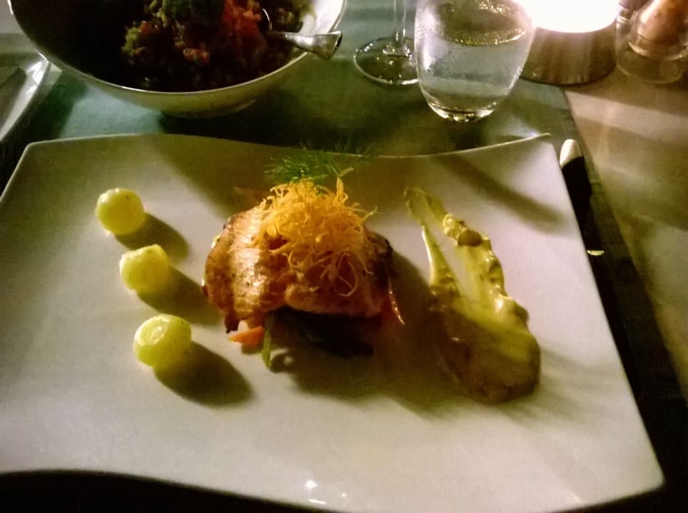 Gastro Acanthus Cennet Barut Collection