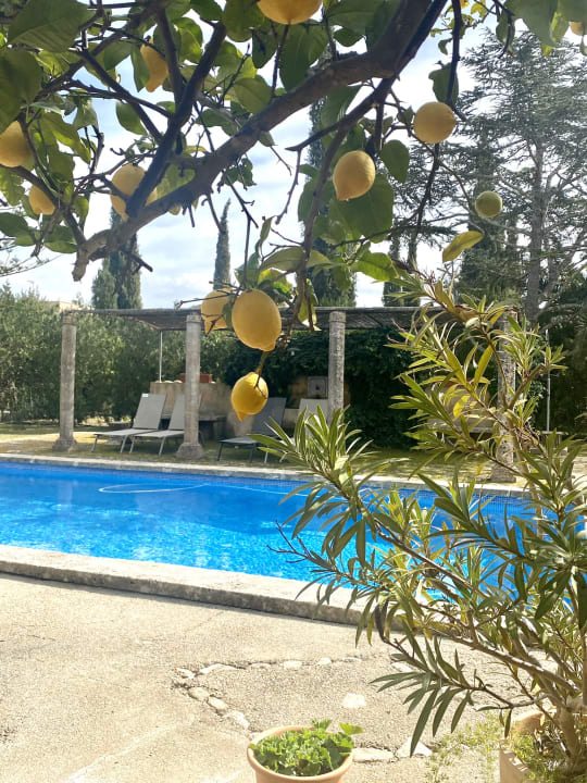 Pool Hotel Finca Raims