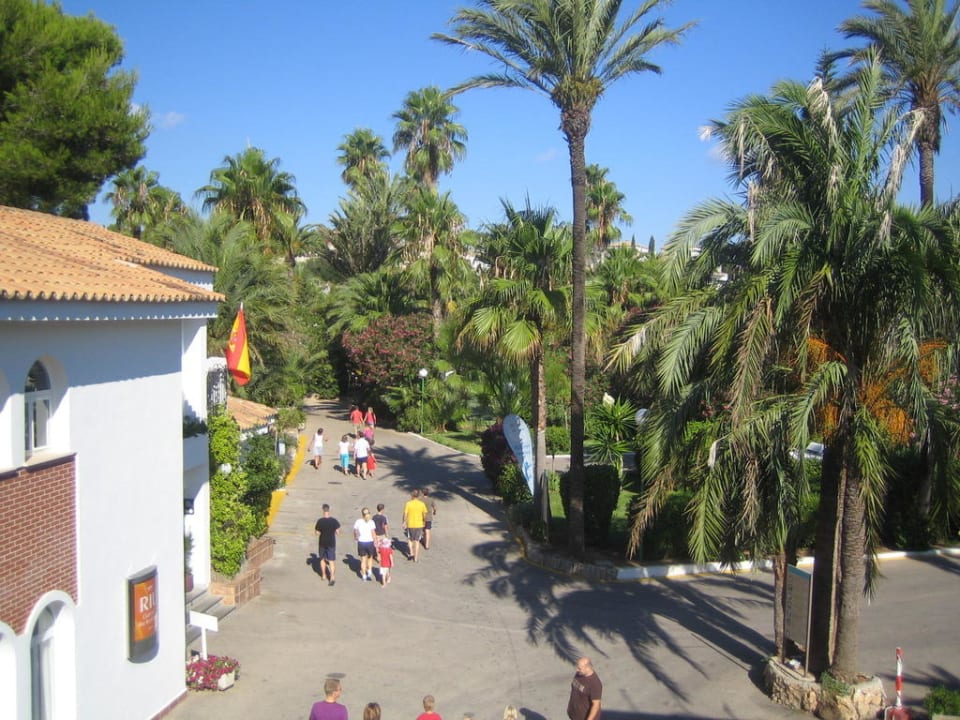 Weg zum Pool Flipflop Cala Romantica